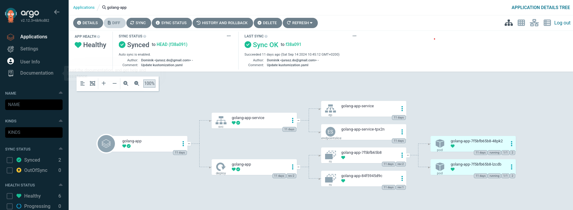 argocd application config